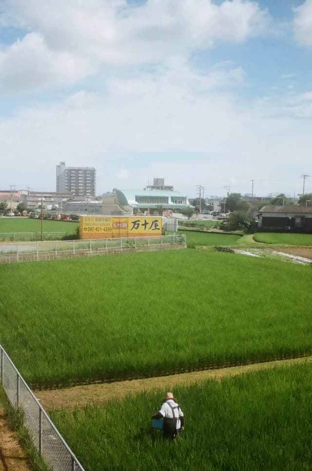 80940024.webp