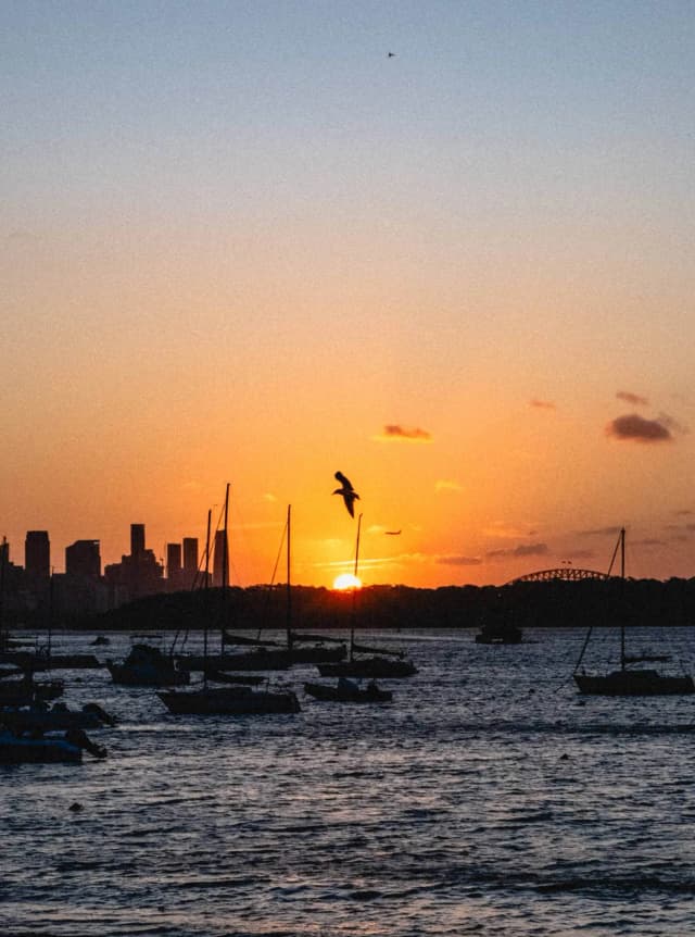Sydney2359.webp