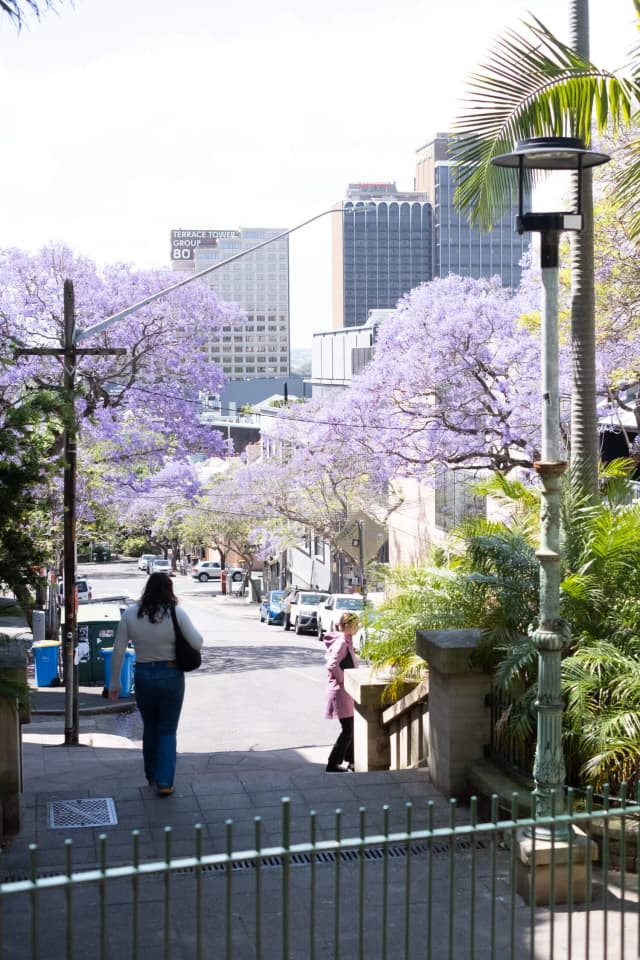 Sydney2442.webp
