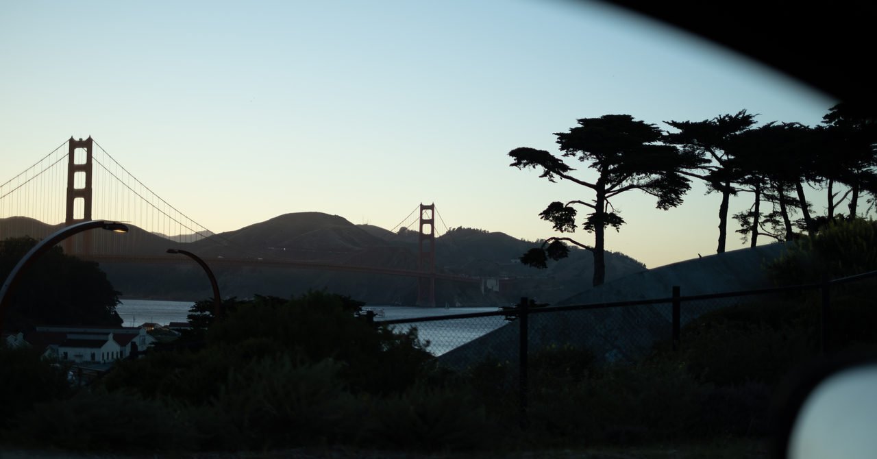 View from Waymo
