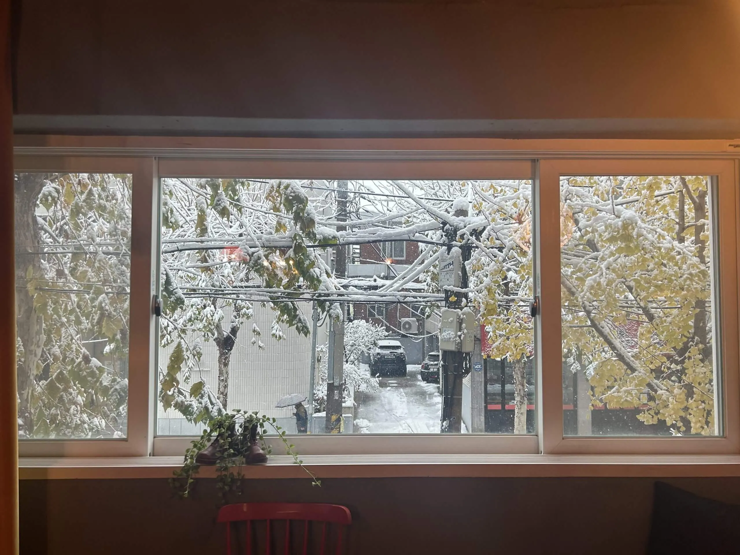 Korea Snow